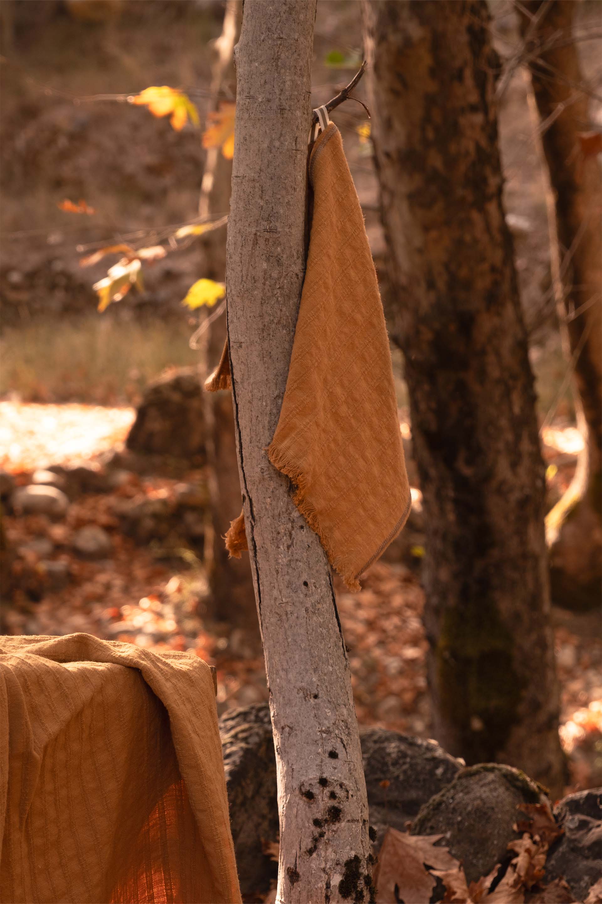 Frig Mutfak Havlusu Kurulama Bezi Jojomia Mutfak Havlusu