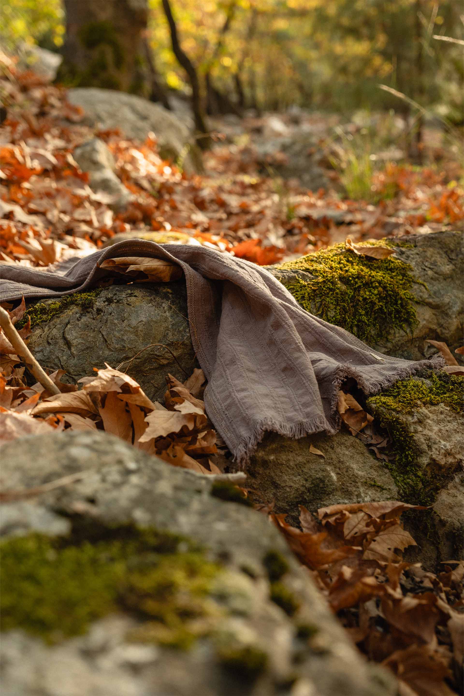Frig Mutfak Havlusu Kurulama Bezi Jojomia Mutfak Havlusu