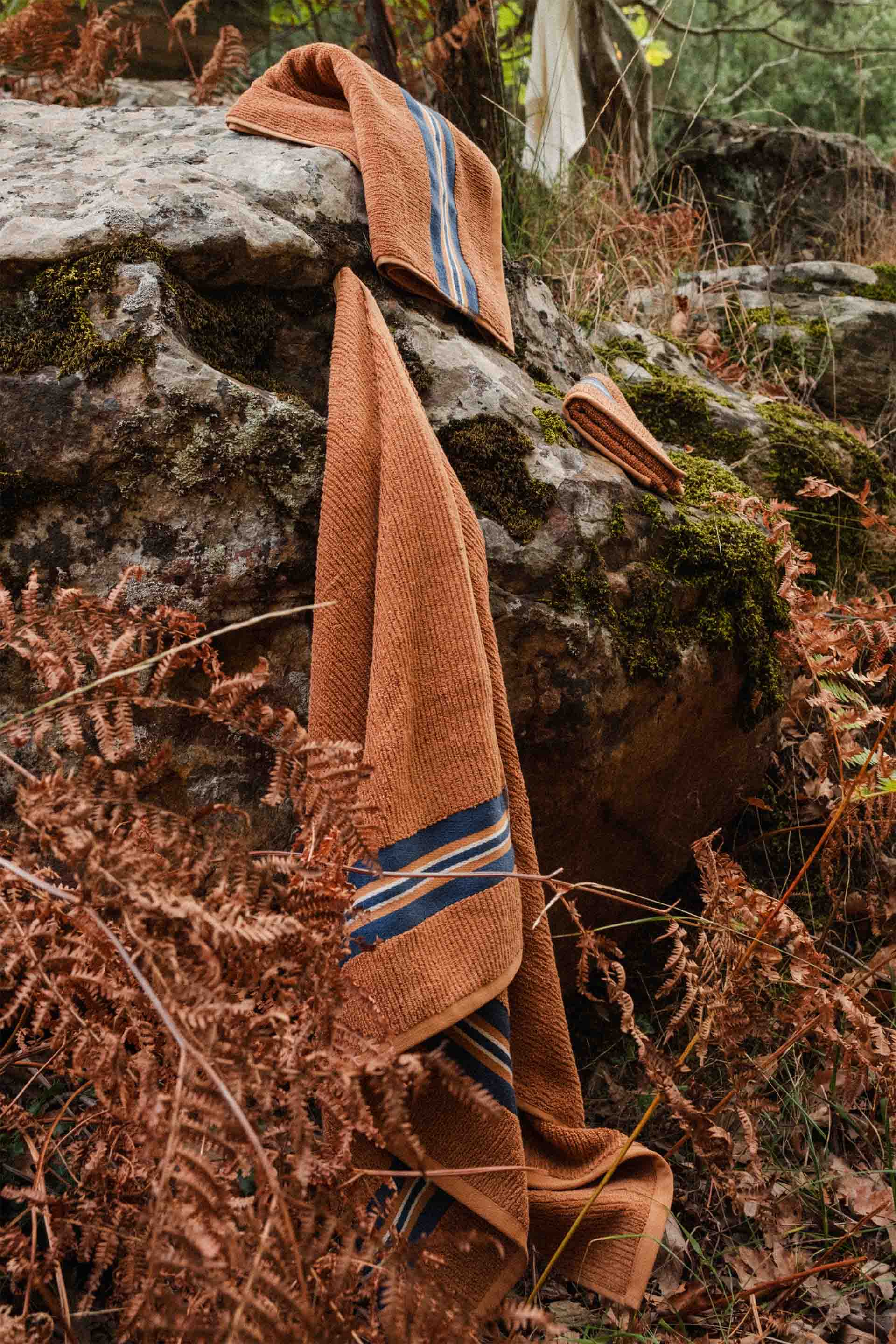 Strada El Havlusu Jojomia El Havlusu